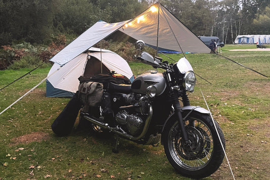 Holmsley Campsite - The New Forest